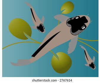stylized fish in pond vector