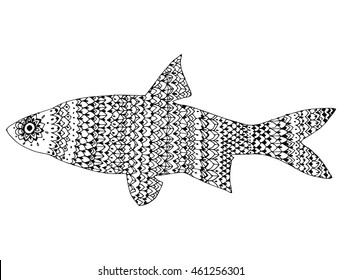 Stylized fish. River fish. Black and white drawing by hand. Line art. Tattoo. Doodle. Graphic arts. Ornamental fish. Pattern.
