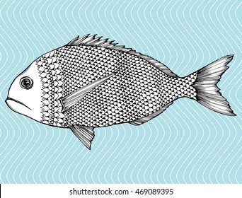 Stylized fish. Sea fish. Dorado. Black and white drawing by hand. Line art. Tattoo. Doodle. Graphic arts.