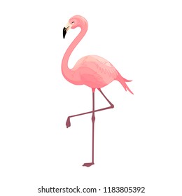 Stylized Flamingo Art  