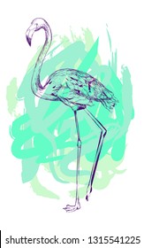 Stylized flamingo with scribbled background