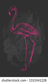 Stylized flamingo with scribbled background