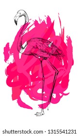 Stylized flamingo with scribbled background