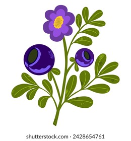 Stylized flat blueberry bush, hand drawn, cartoon style. Vector clipart