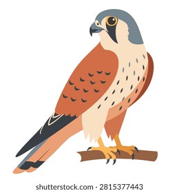 A stylized flat design graphic featuring a kestrel falcon standing alert on a tree branch isolated on a white background