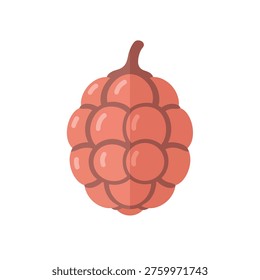 Stylized flat icon of a raspberry against a white background