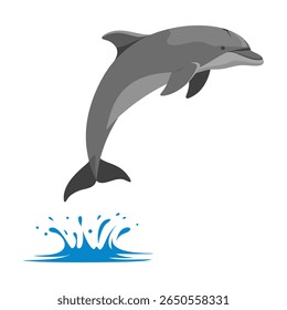 Uma ilustração estilizada e plana de um golfinho cinza saltando da água azul salta sobre um fundo branco. O golfinho é retratado no ar com sua barbatana da cauda submersa.