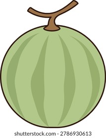 A stylized, flat illustration of a whole green cantaloupe melon with subtle vertical ridges and a short brown stem.