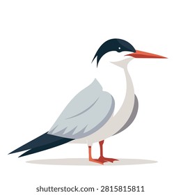 A stylized flat vector illustration of a common tern featuring its characteristic black cap red beak and grey wings standing isolated on a white background.