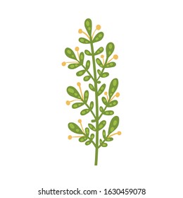 Stylized Floral Composition with Fancy Shaped Flowers Vector Illustration
