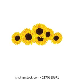 stylized floral frame, sunflower vector artwork