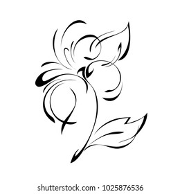 stylized flower in black lines on a white background