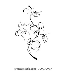 stylized flower in black lines on a white background