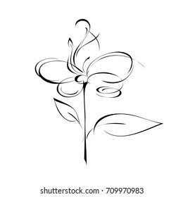 stylized flower in black lines on a white background