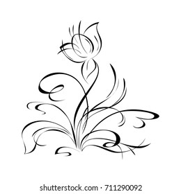 stylized flower in black lines on a white background