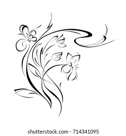 stylized flower in black lines on a white background