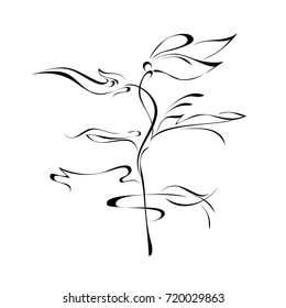 stylized flower in black lines on a white background