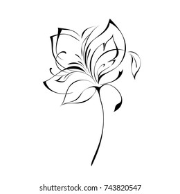 stylized flower in black lines on a white background
