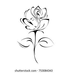 stylized flower in black lines on a white background