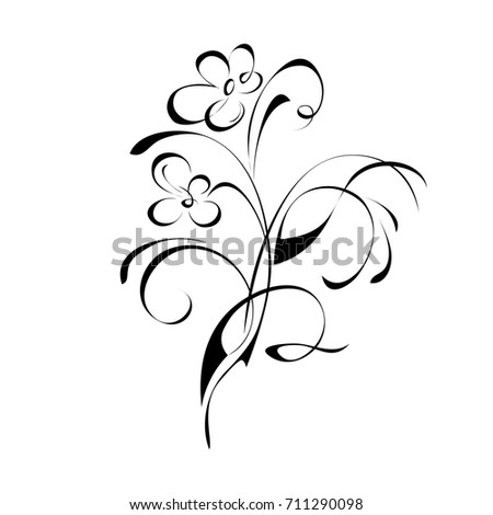 stylized flower in black lines on a white background