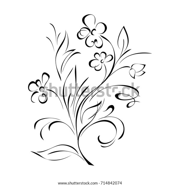 Stylized Flower Black Lines On White Stock Vector (Royalty Free ...