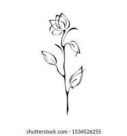 stylized flower bud on a high stem with leaves and curls in black lines on a white background