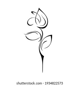 stylized flower bud on stem with leaves in black lines on a white background