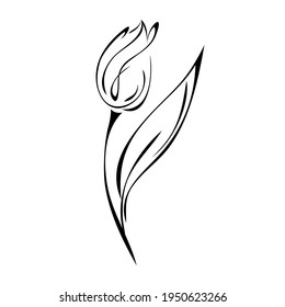 stylized flower bud on a stem with a single leaf. black line art on a white background