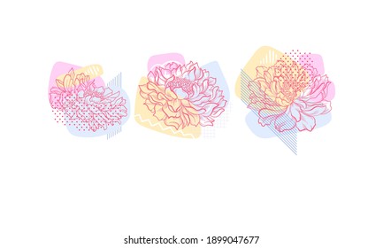 Flor estilizada con Petal de trazo rosado y formas detrás del conjunto de vectores