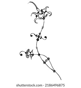 Stylized flower. Fantastic blooming branch. Medieval floral motif. Illuminated manuscript style. Hand drawn linear doodle rough sketch. Black silhouette on white background.