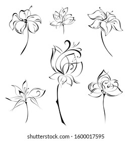 stylized flower with large petals on a short stem without leaves on a white background. SET