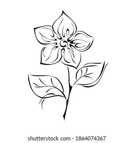 stylized flower with large petals on a short stem with leaves in black lines on a white background