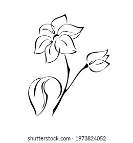 stylized flower with large petals on the stem with one leaf and one bud