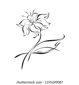 stylized flower with leaf in black lines on white background
