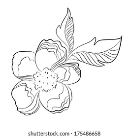 stylized flower with leaves, hand-painted - vector outline silhouette