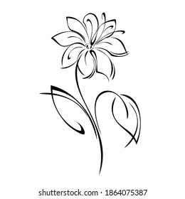 stylized flower on a short stem with leaves in black lines on a white background