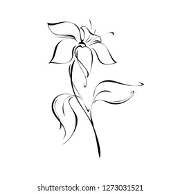 stylized flower on stem with leaf in black lines on white background