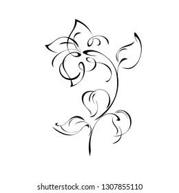 stylized flower on stem with leaf in black lines on white background