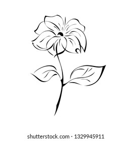stylized flower on stem with leaf in black lines on white background