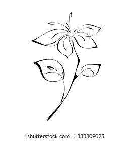 stylized flower on stem with leaf in black lines on white background