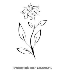stylized flower on stem with leaf in black lines on white background