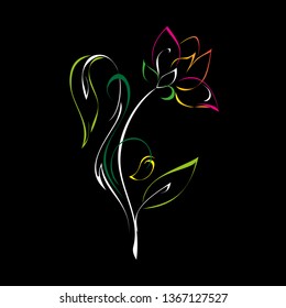 stylized flower on the stem with leaves and curls in color lines on a black background