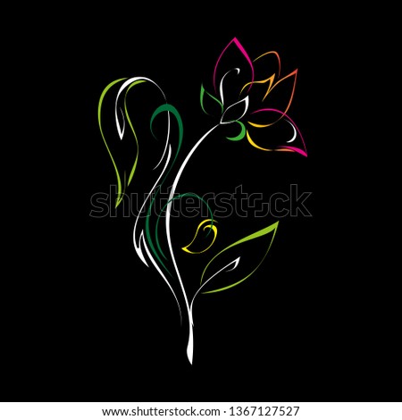 stylized flower on the stem with leaves and curls in color lines on a black background