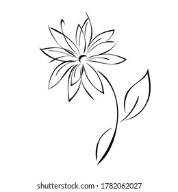 stylische Blume auf einem Stiel mit einem Blatt auf schwarzem Hintergrund
