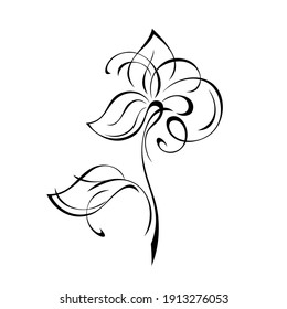 stylized flower on a stem with one leaf in black lines on a white background