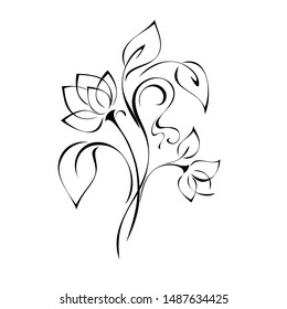 stylized flower with two buds on a curved stem with leaves and curls in black lines on a white background