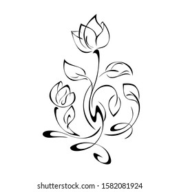 stylized flower with two buds on a curved stem with leaves and curls in black lines on a white background