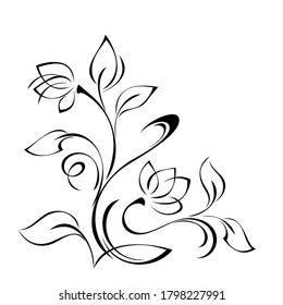stylized flower with two buds on a curved stem with leaves and curls in black lines on a white background