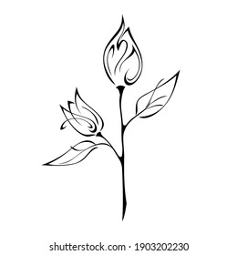 stylized flower with two buds on a stem with leaves in black lines on a white background