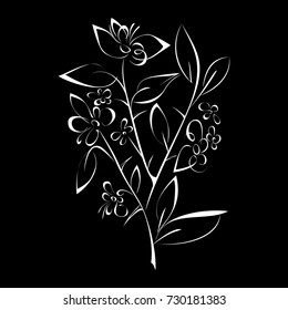 stylized flower in white lines on a black background